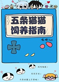 五条猫猫饲养指南