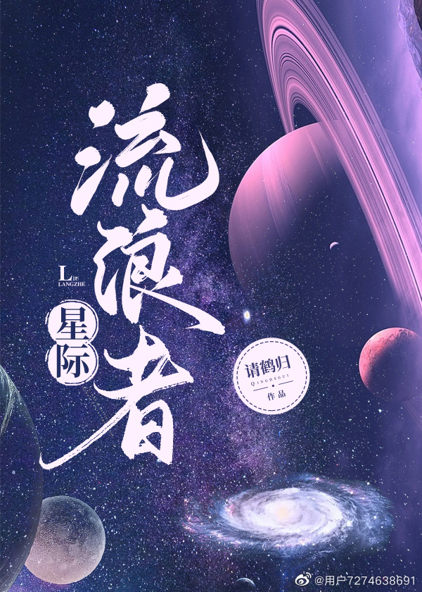 星际流浪评价