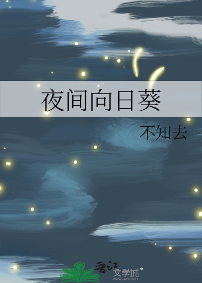 夜间向日葵的绽放真人